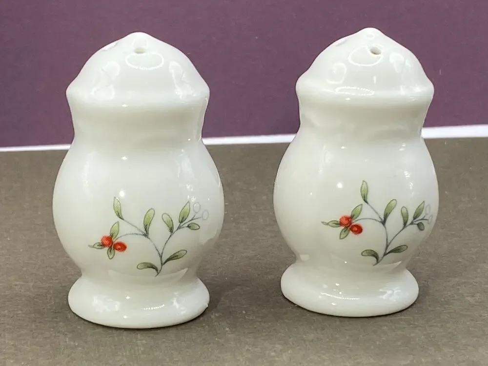 Set of Pfaltzgraff White Porcelain Hand Painted Small Salt & Pepper S&P Shakers